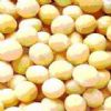 Soybean Isoflavones P.E.